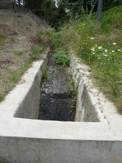Le petit ruisseau de la Meurthe